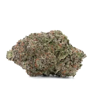 rainbow-zkittlez strain