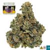 Cookies & Dreams Strain