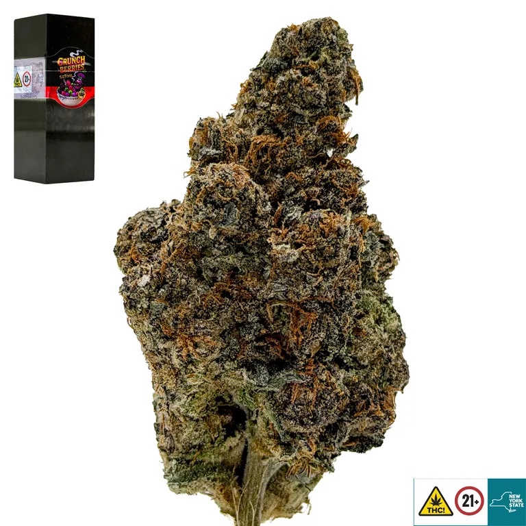 Crunch Berries Strain