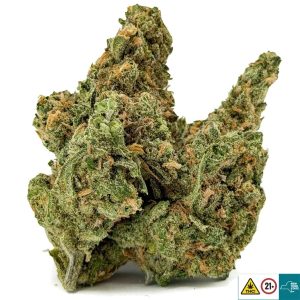 Alternative view of Blue Dream