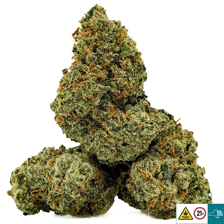 Lemon Jack Strain - Image 2