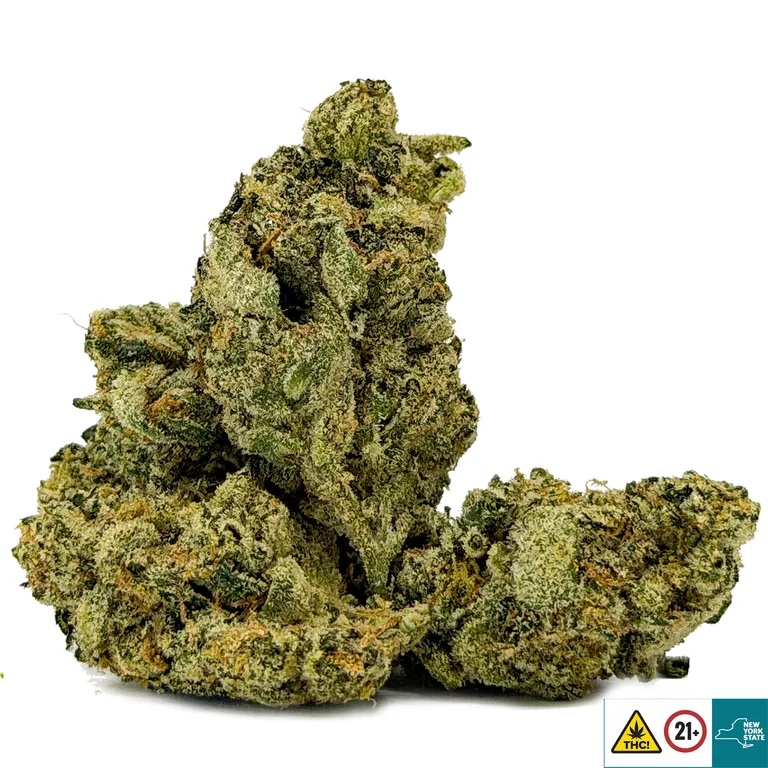 Master Yoda OG Strain - Image 2