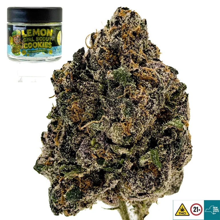 Lemon Girl Scout Cookies Strain
