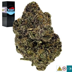 Red Snapper Strain