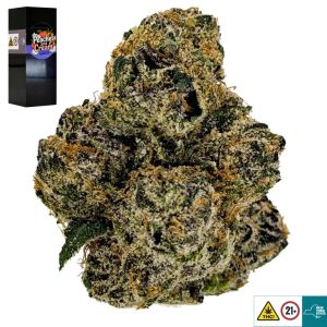 Peaches & Cream Strain